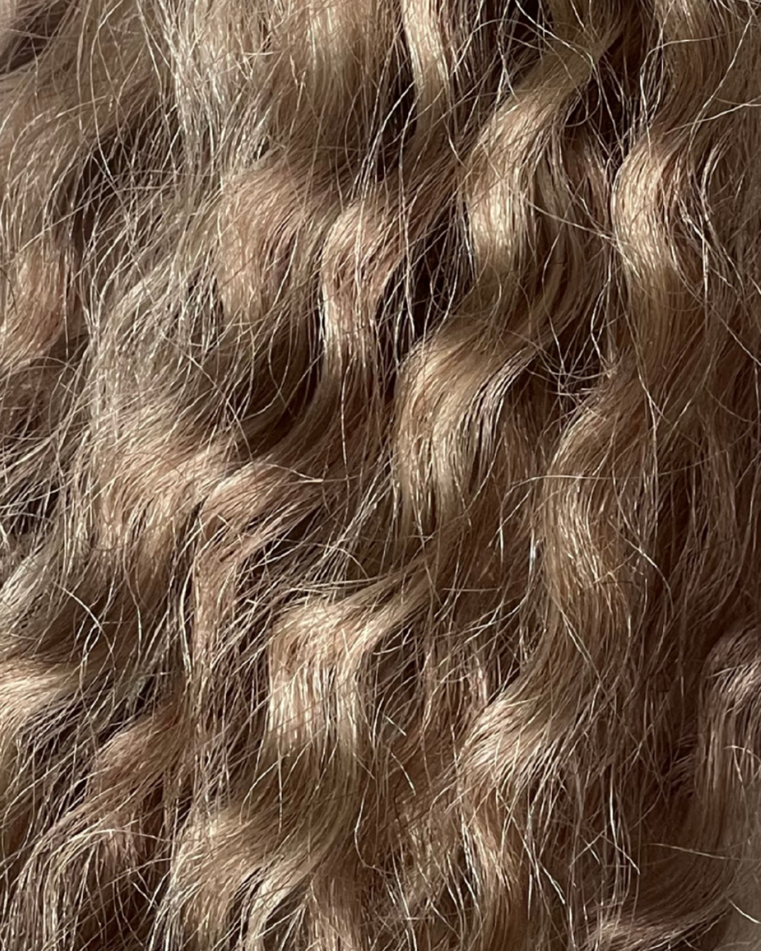 Signature Curl Collection