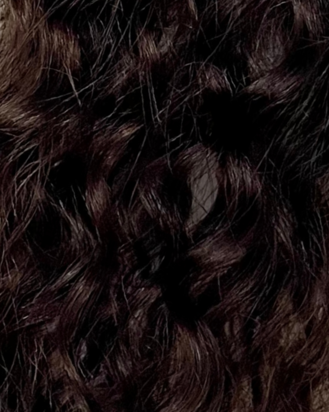 Signature Curl Collection