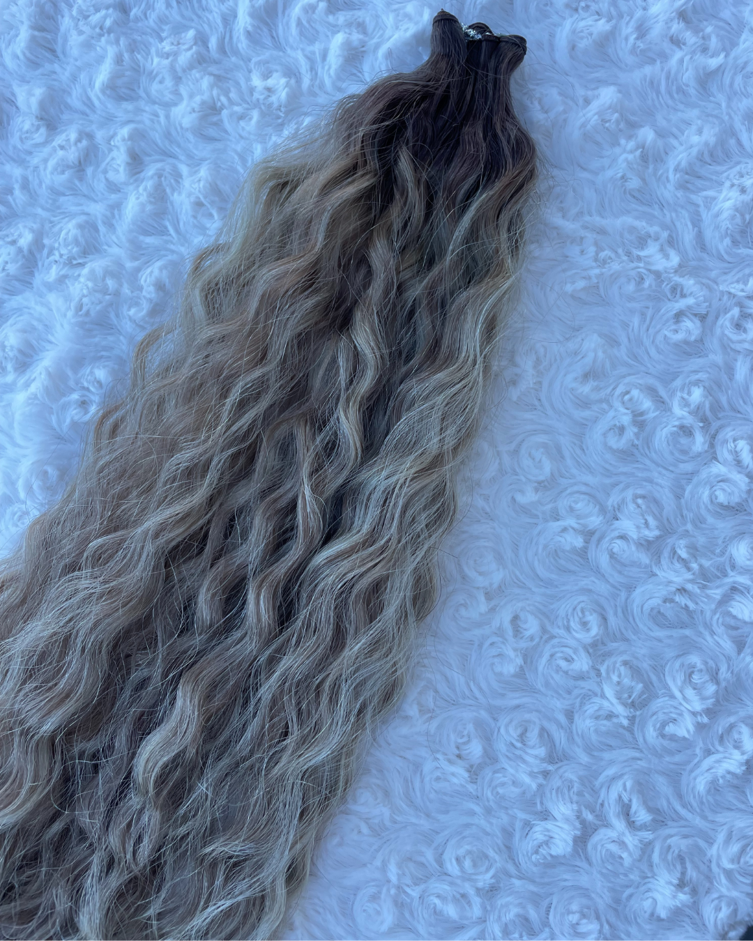 Signature Curl Collection